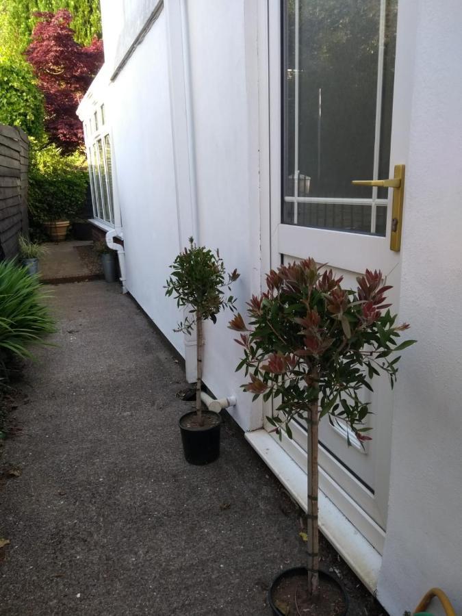 Villa Cosy, Dog Friendly House On The Fringe Of The Brecon Beacons Tredegar Exterior foto