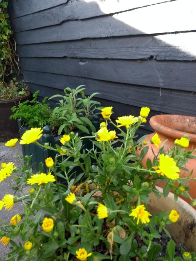 Villa Cosy, Dog Friendly House On The Fringe Of The Brecon Beacons Tredegar Exterior foto